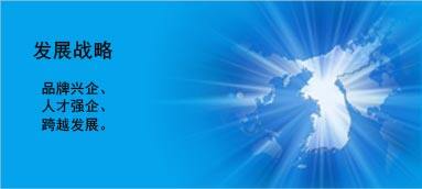 發(fā)展戰(zhàn)略